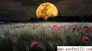 ҹӵмžȺ                    www.gaofen123.com