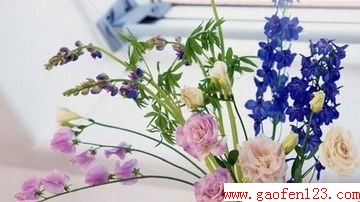 ڼҾе                  www.gaofen123.com