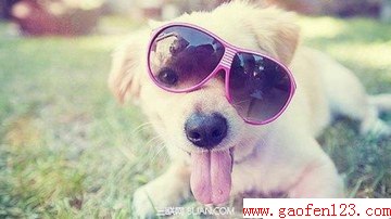 www.gaofen123.com