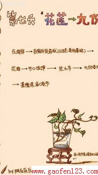 九份