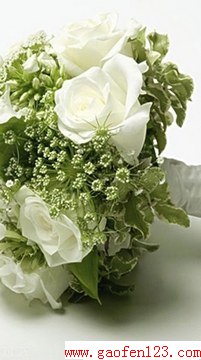 ʺ2.14˽ www.gaofen123.com