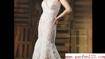 www.gaofen123.com