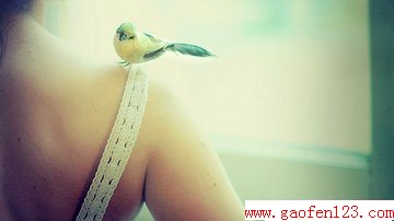 ´ּ www.gaofen123.com