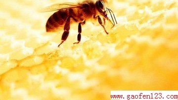 ȽϺ www.gaofen123.com