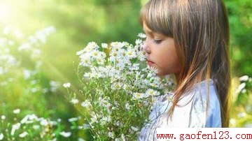 ζ                     www.gaofen123.com
