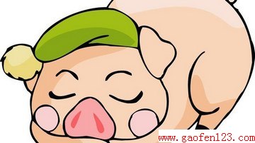 www.gaofen123.com