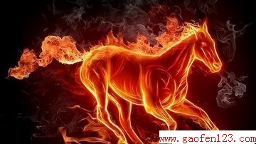  www.gaofen123.com