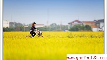 ʺԪϳĸƼ www.gaofen123.com