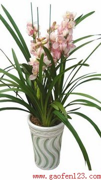 ڼҾе www.gaofen123.com