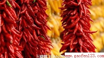 ζò֪Ľɣ www.gaofen123.com