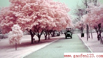 ӣ͵ȫ www.gaofen123.com