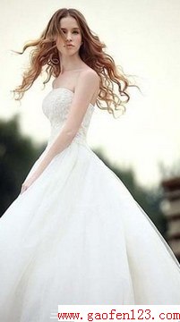 θѡɴ www.gaofen123.com